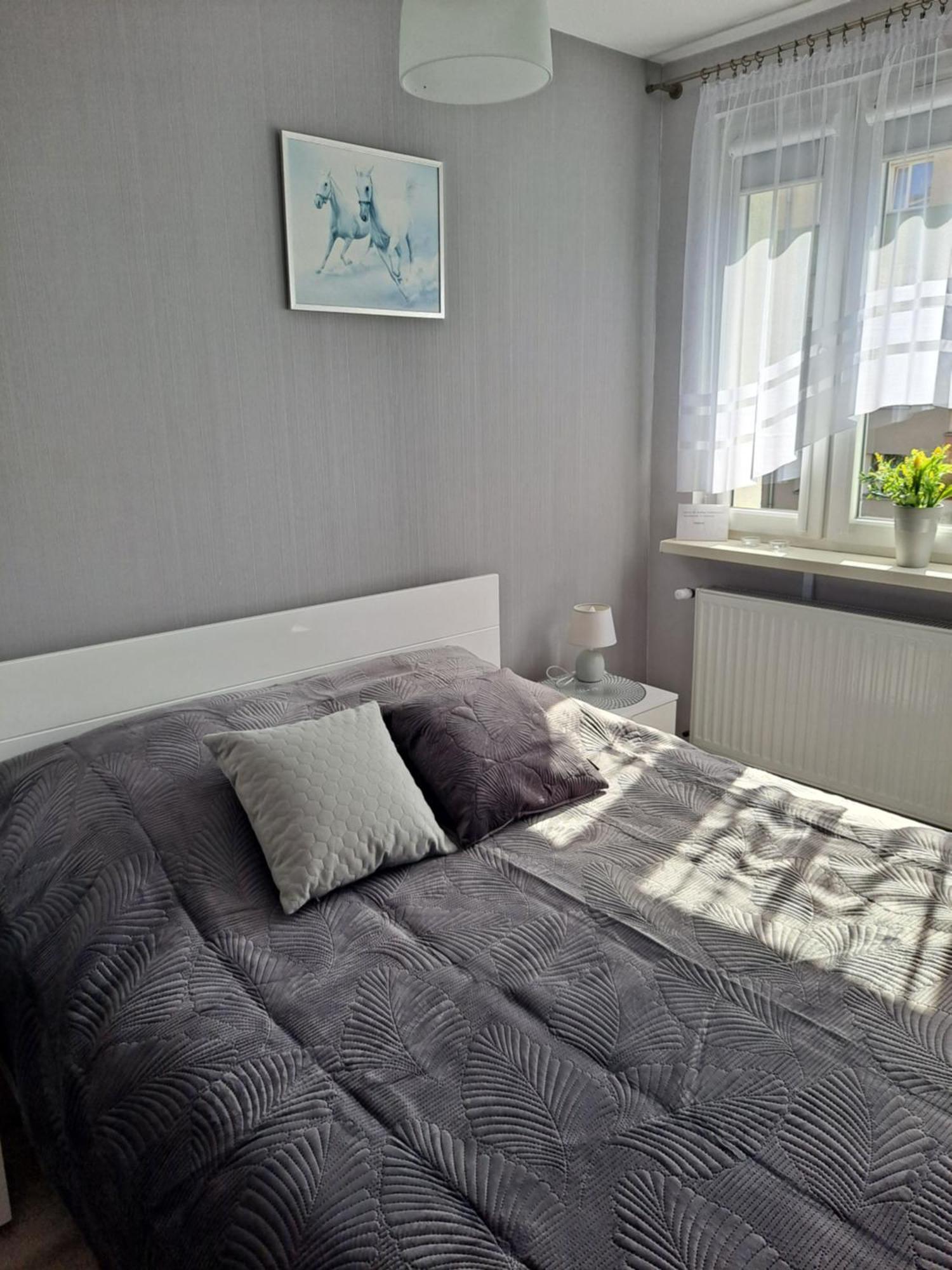 Studio Zabobrze Jelenia Góra Екстериор снимка